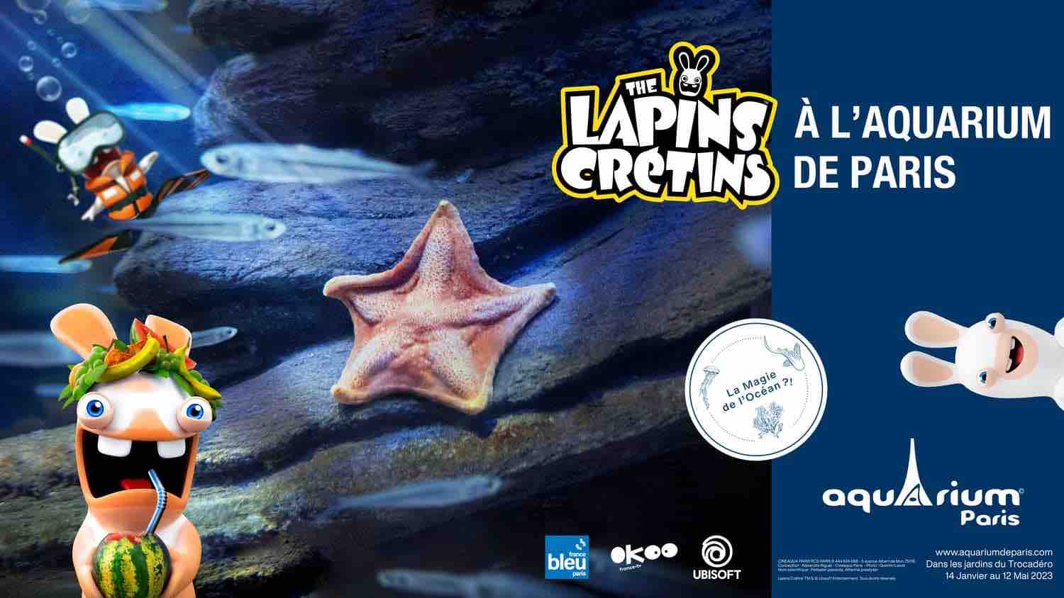 Lapins Cretins Aquarium De Paris 
