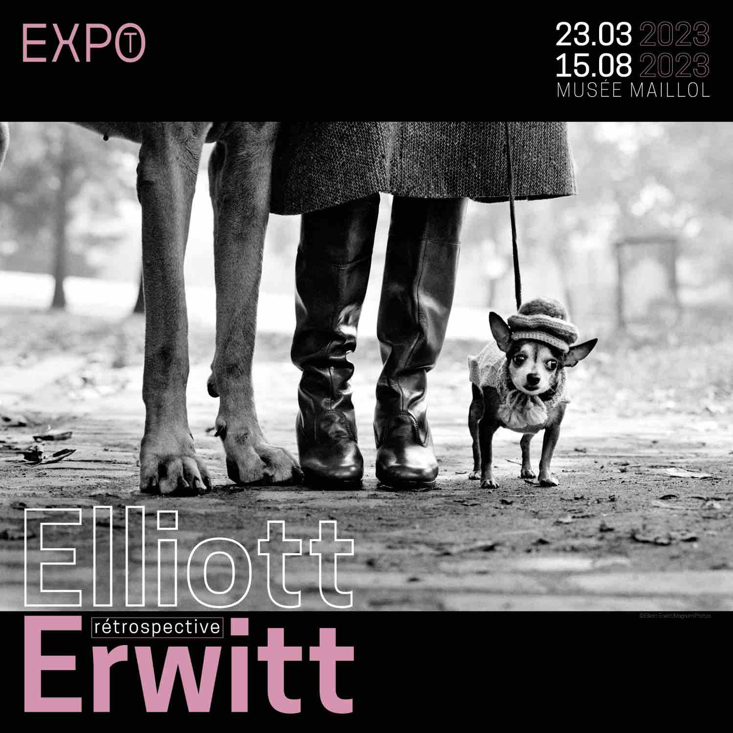 コレクション elliott erwitt ポスター