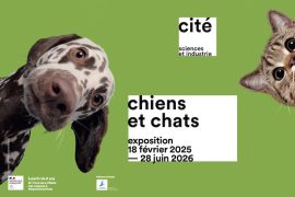 Exposition "Chiens et chats" à La Cité des Sciences et de l'industrie 2025-2026