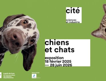 Exposition "Chiens et chats" à La Cité des Sciences et de l'industrie 2025-2026