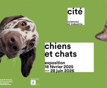 Exposition "Chiens et chats" à La Cité des Sciences et de l'industrie 2025-2026