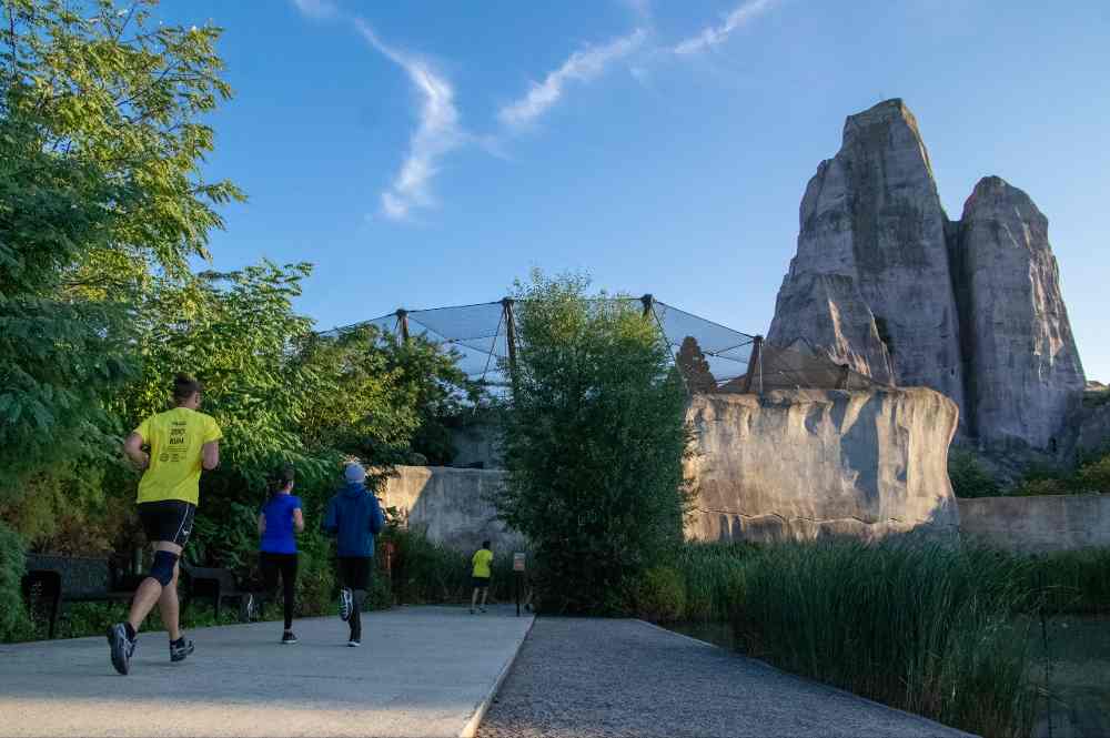 Paris Paris-Zoo-Run-MNHN-crédit Descombes