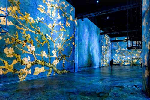 Van Gogh exhibition at the Atelier des Lumieres. Bluffing and unpublished