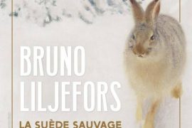 Bruno Liljefors at the Petit Palais