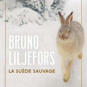 Bruno Liljefors at the Petit Palais