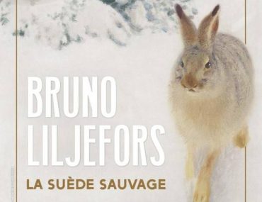 Bruno Liljefors at the Petit Palais