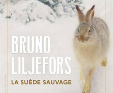 Bruno Liljefors at the Petit Palais