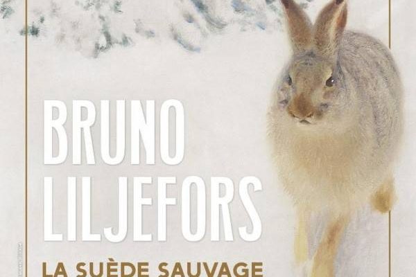 Bruno Liljefors at the Petit Palais