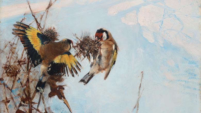 Les oiseaux dans l'expo Petit Palais Bruno Liljefors