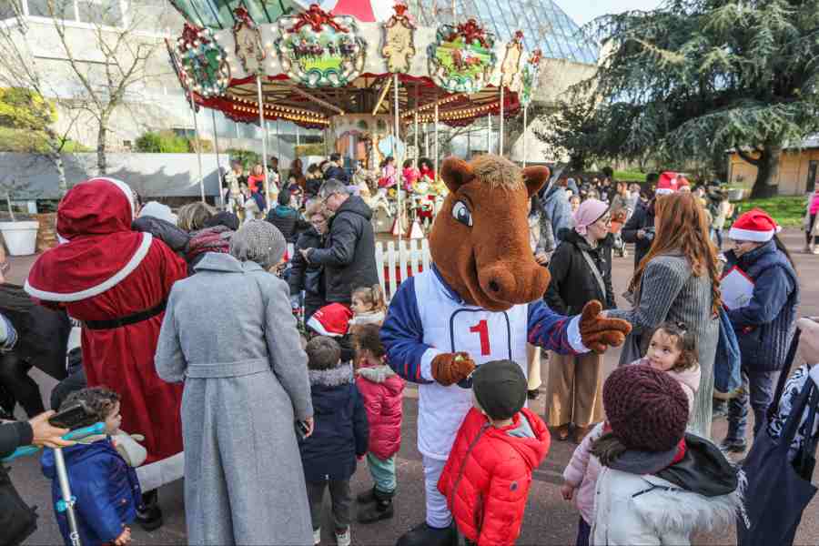 le manege de dimanche plaisirs