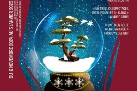 Une lumière pour noel , le spectacle pour les petits à paris