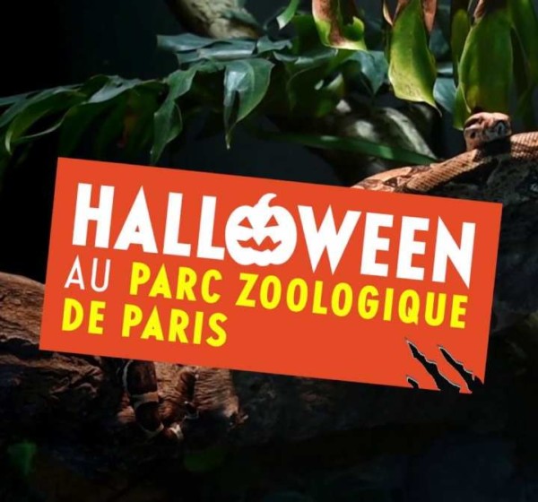 Halloween au parc Zoologique — Le 31 octobre, venez déguisés