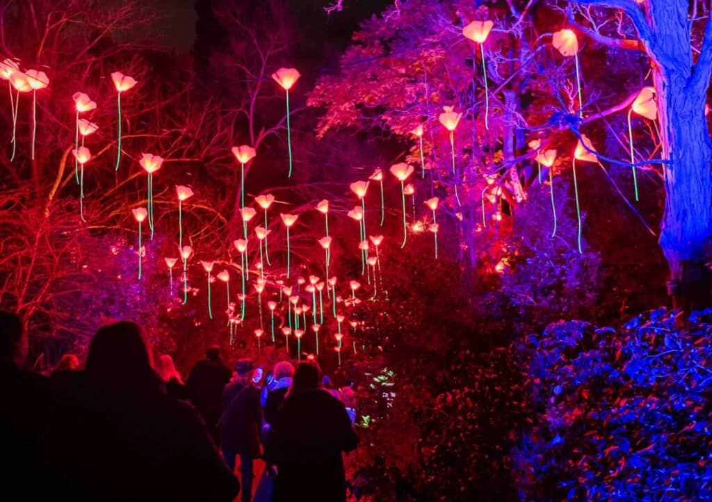 Les illuminations de Noël au parc Floral >> Billetterie