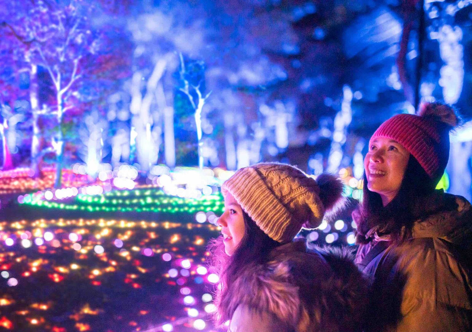 Les illuminations de Noël au parc Floral >> Billetterie