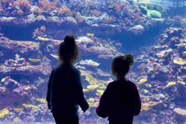 enfants à l'aquarium de Paris
