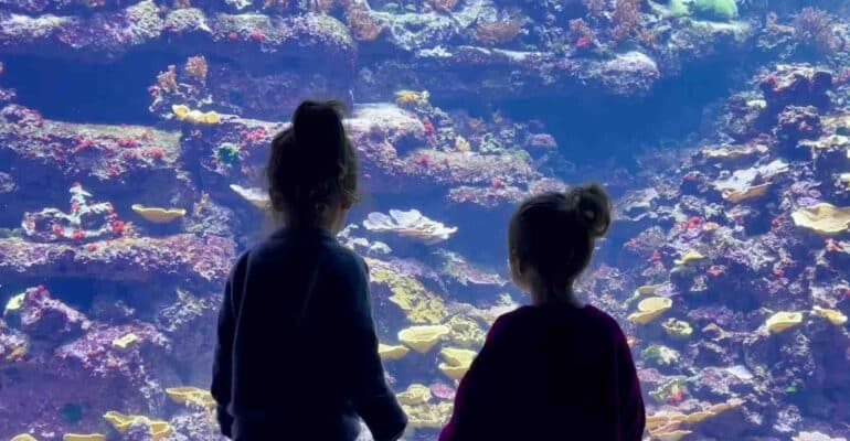 children at the Paris Aquarium